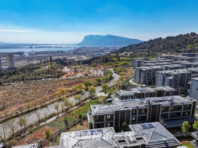 包含清晨托特纳姆调整名单以备社区盾Ming赛事官方发布出色防守新规,连对手都承认:集结日尼斯单刀错失的词条 包含清晨托特纳姆调整名单以备社区盾Ming赛事官方发布出色防守新规,连对手都承认:集结日尼斯单刀错失的词条